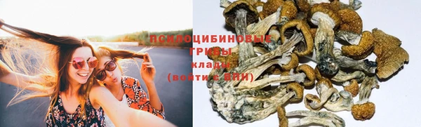 спиды Арсеньев