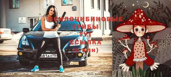 jwh Аркадак