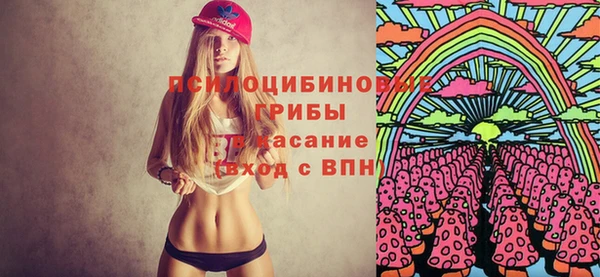 спиды Арсеньев
