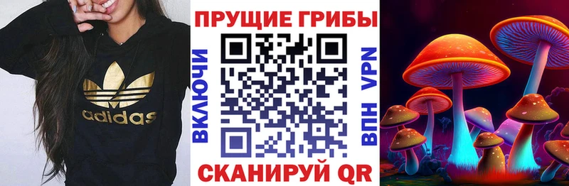 где купить наркоту  Наволоки  Галлюциногенные грибы MAGIC MUSHROOMS 